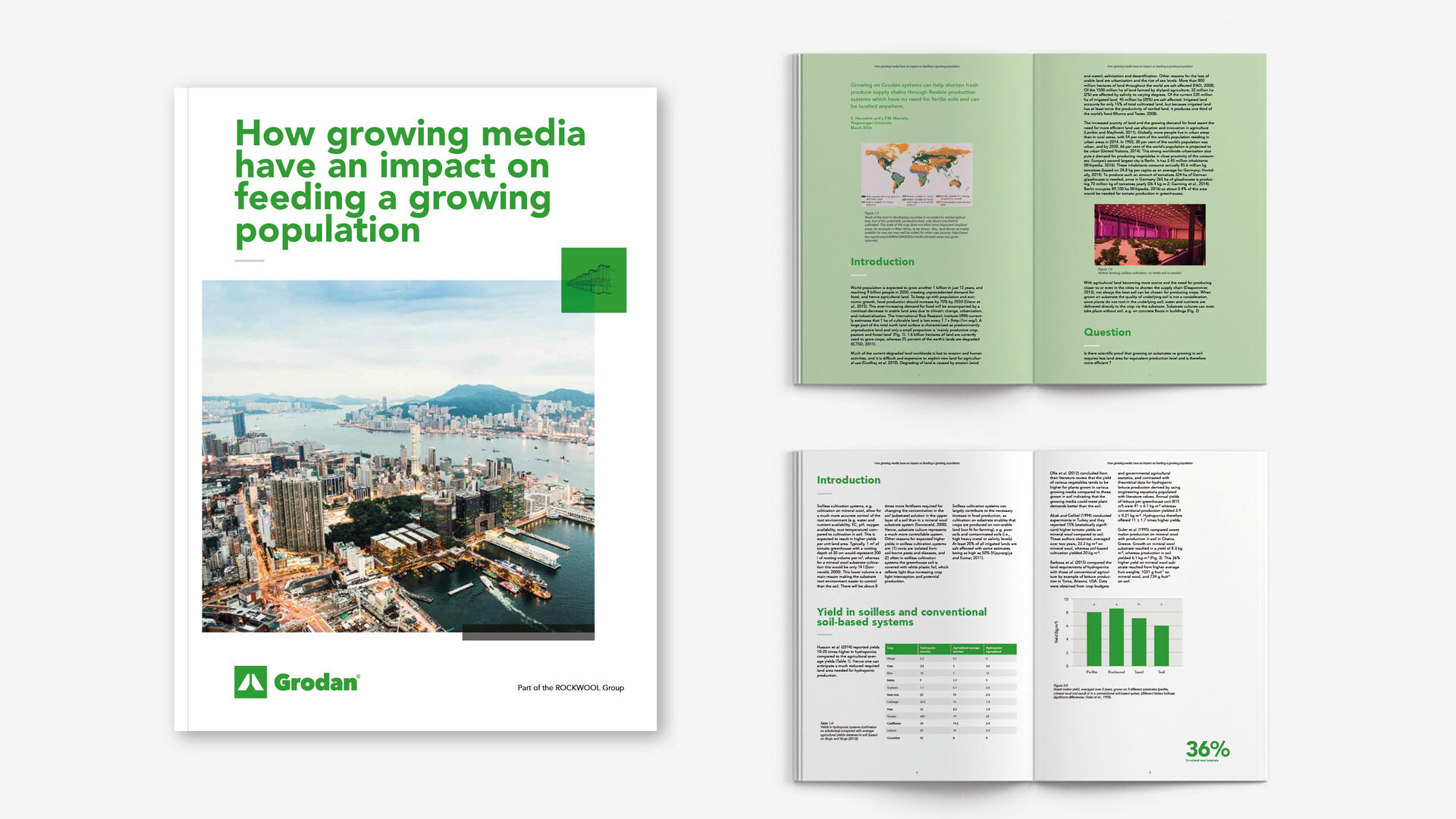 Visual, report, sustainability