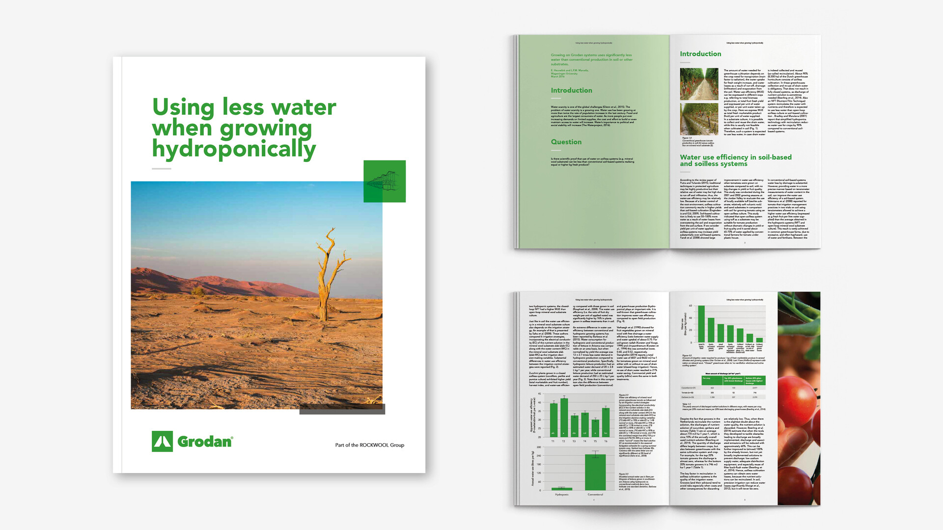 Visual, report, sustainability