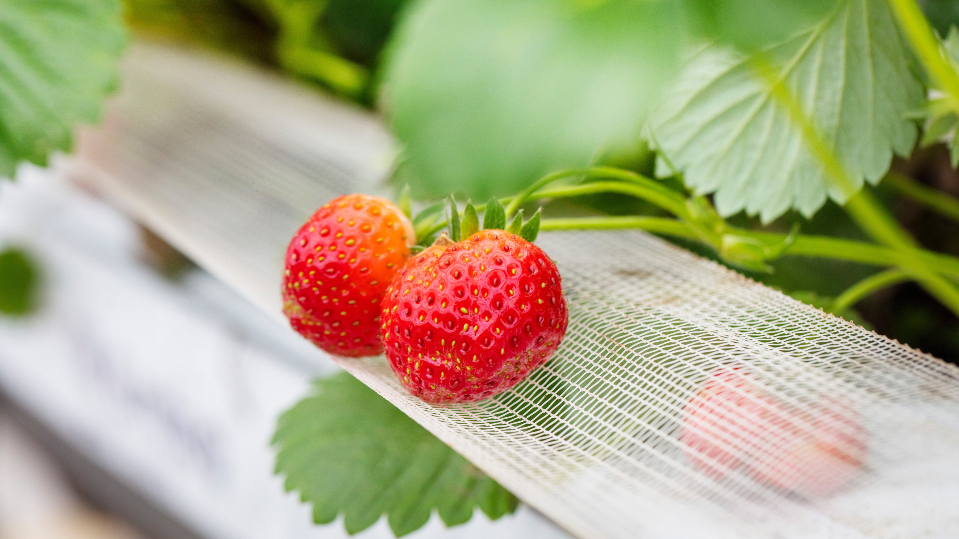 20190516 GR PHO 5016